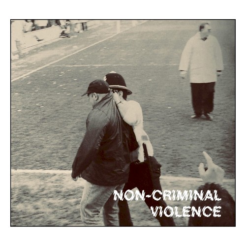 Non-Criminal Violence