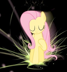 Find the Music in You (PonyFireStone remix)