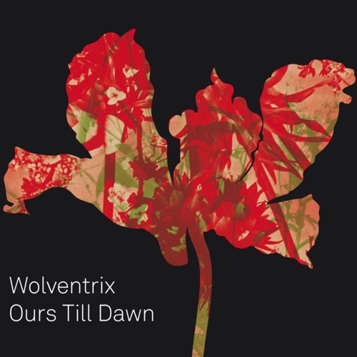 Ours Till Dawn