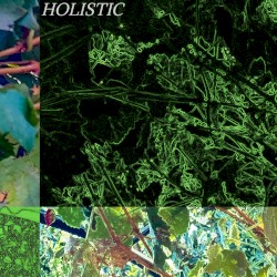 HOLISTIC