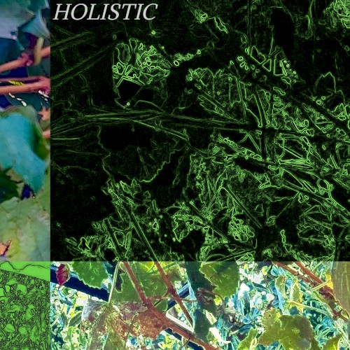 HOLISTIC