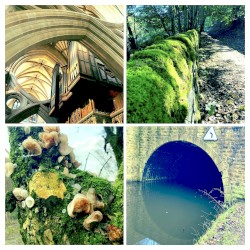 Turning Circle