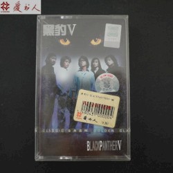 黑豹V