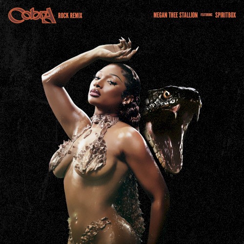 Cobra (rock remix)