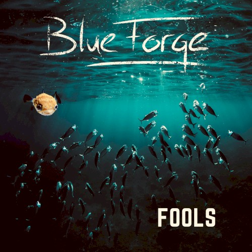 Fools