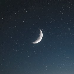 Bright Night