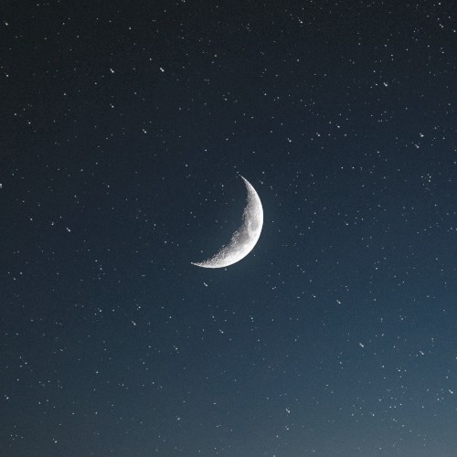 Bright Night