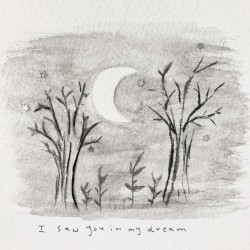I saw you in my dream