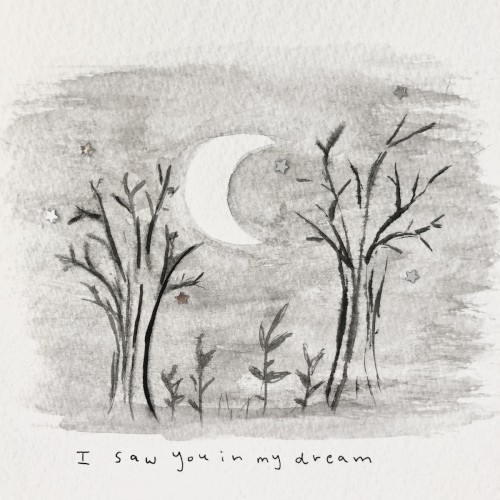 I saw you in my dream
