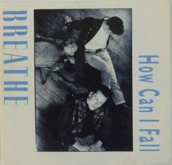 How Can I Fall?