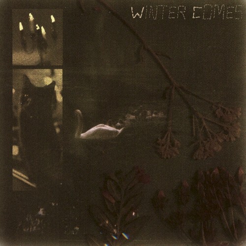 Winter Comes