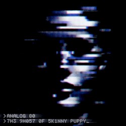 The Ghost Of Skinny Puppy