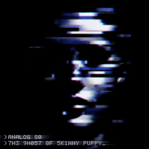 The Ghost Of Skinny Puppy