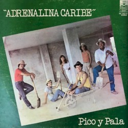 Pico y Pala