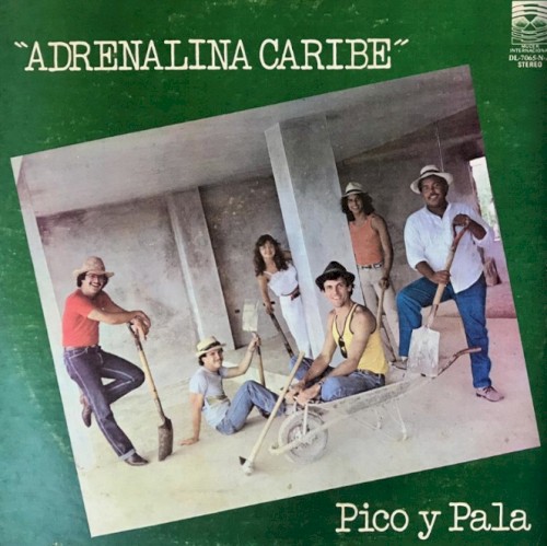Pico y Pala