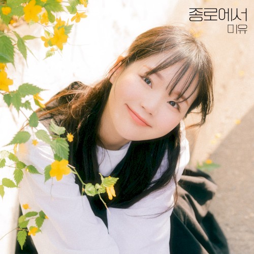 종로에서