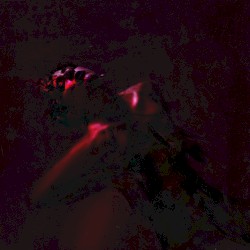INNUENDO (remixes)