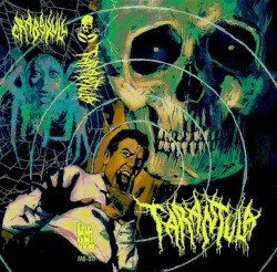 Tarantula Frequency