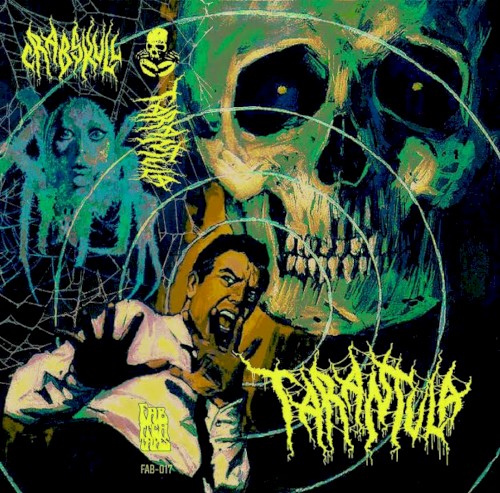 Tarantula Frequency