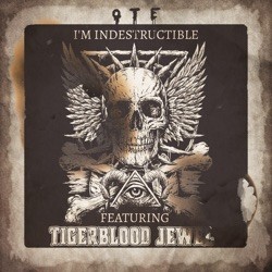 I'm Indestructible