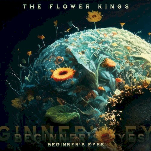 Beginner’s Eyes