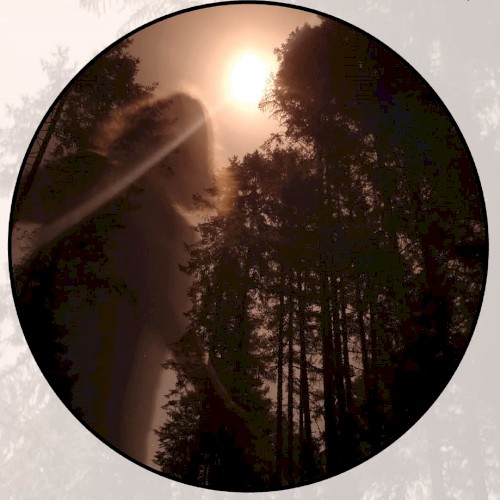 Moonlit Missive #110: Leaves Outlined in Moonglow