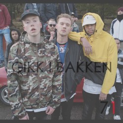 Gikk I Bakken