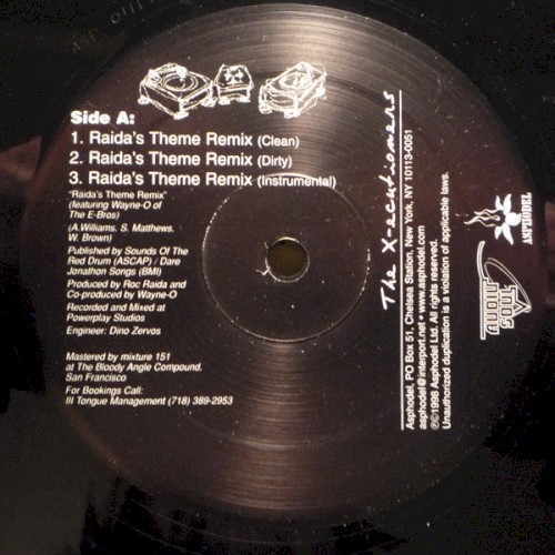 Raida's Theme (Remix)