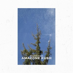 Amazone Kush