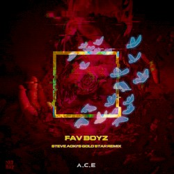 Fav Boyz (Steve Aoki’s Gold Star remix)