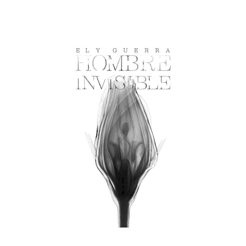 Hombre invisible