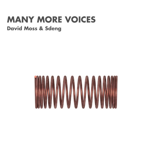 Many More Voices