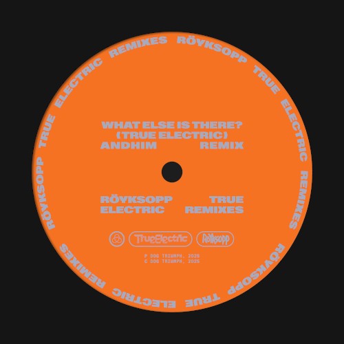 What Else Is There? (andhim extended remix)