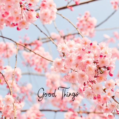 Good Things