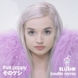 Lowlife (Slushii remix)