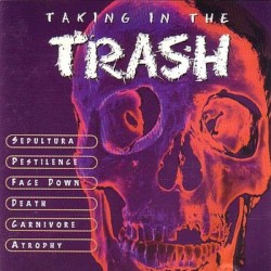 Taking in the Trash
