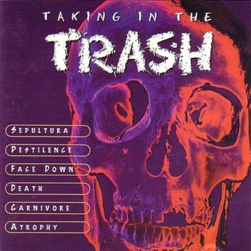 Taking in the Trash
