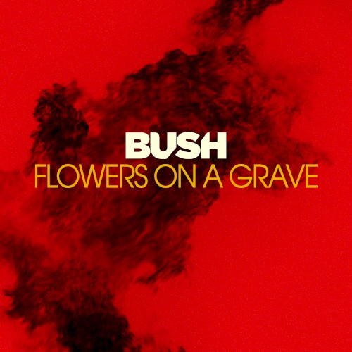 Flowers on a Grave