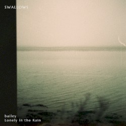 Swallows