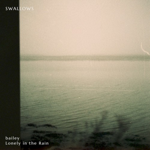 Swallows