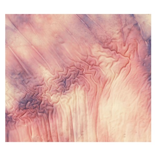 Lava