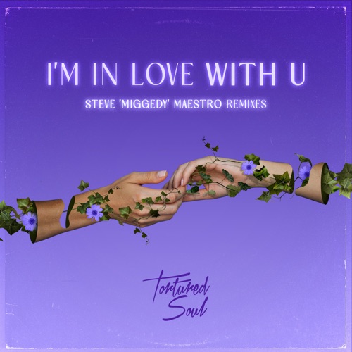 I'm In Love With U (Steve 'Miggedy' Maestro Remixes)