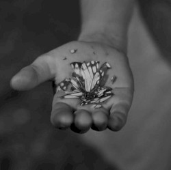 Scattered Seeds / Collected Dirt