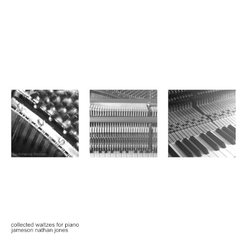 Collected Waltzes for Piano