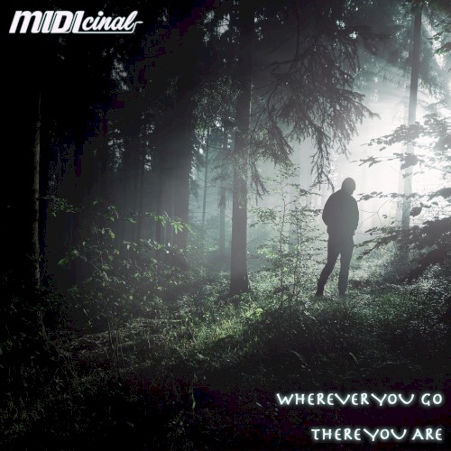 Wherever You Go There You Are