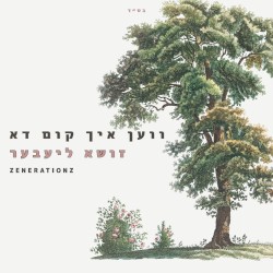 ווען איך קום דא
