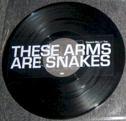 These Arms Are Snakes / Russian Circles