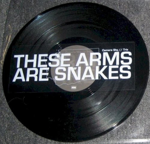 These Arms Are Snakes / Russian Circles