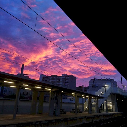 Mooncake