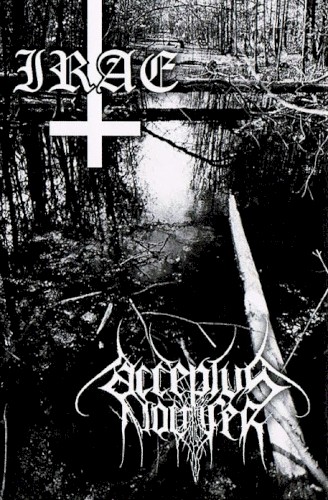 Contempt and Slander